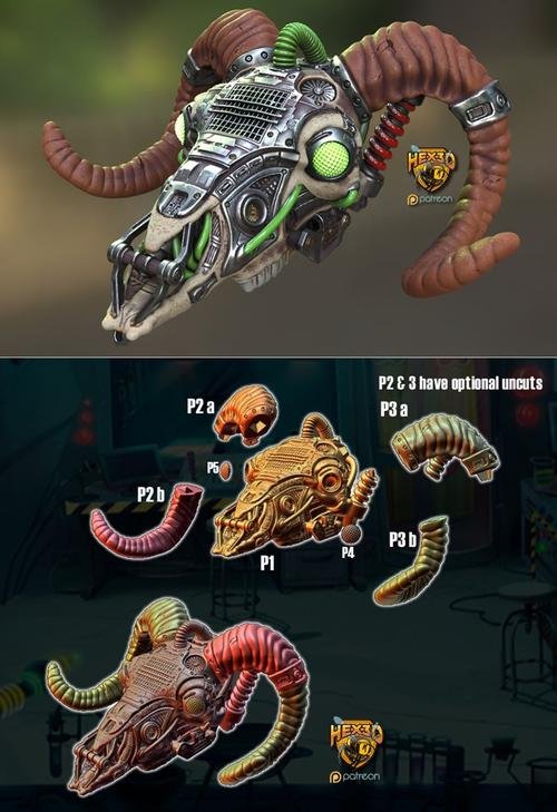 Duncans Sheep Skull – 3D Print