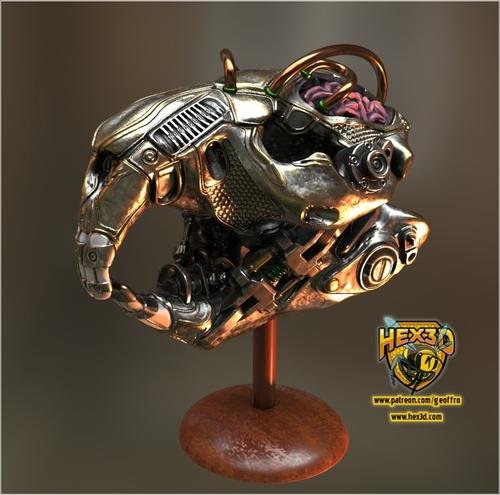 Duncans Beaver Skull – 3D Print