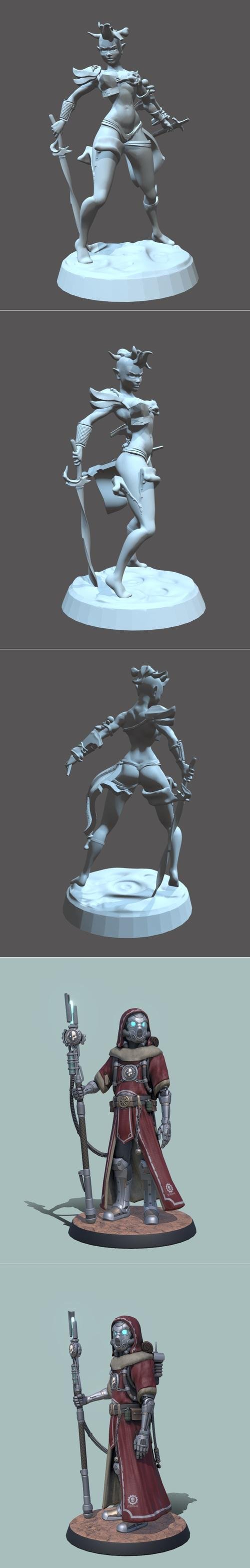 Female Wild Hunter and W40k Techpriest Explorer – 3D Print