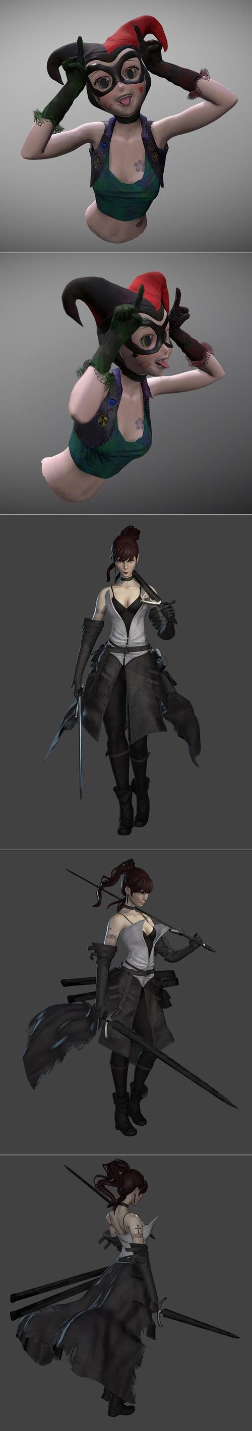 Harley bust  Anime style and Sword Fighter – 3D Print