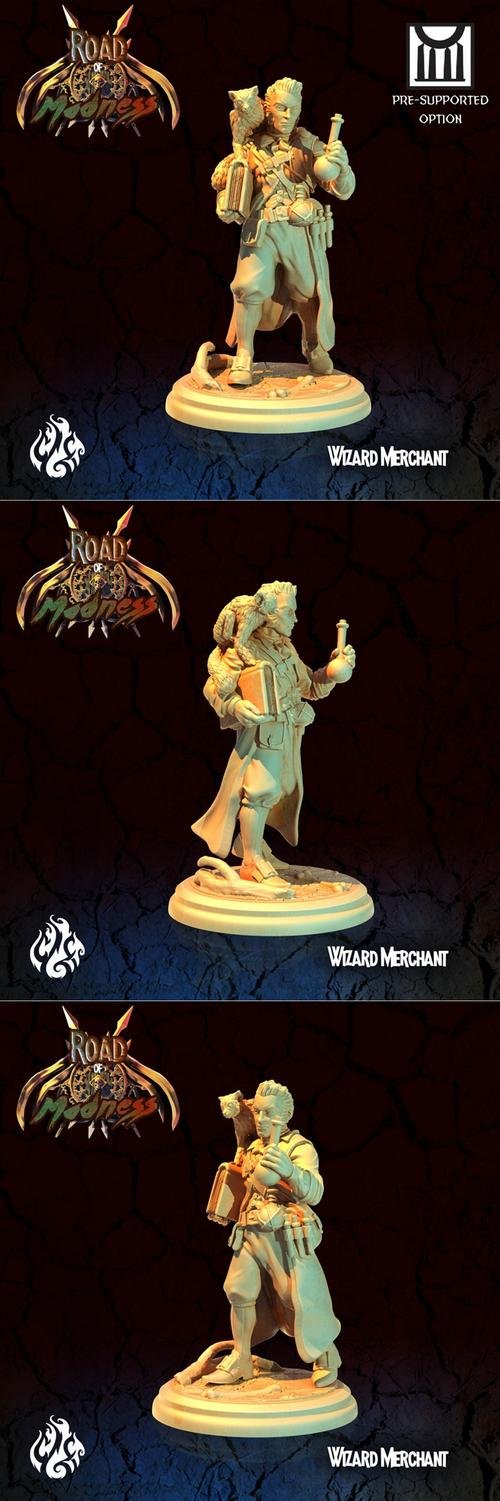 Wizard Merchant – 3D Print