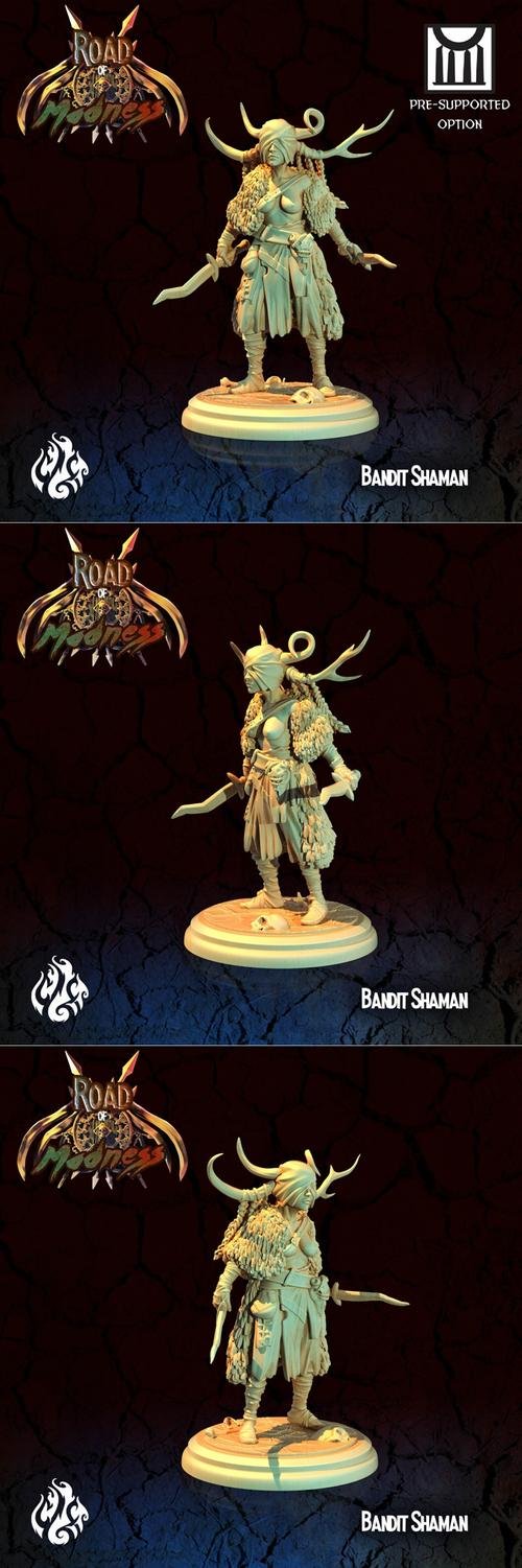 Bandit Shaman – 3D Print