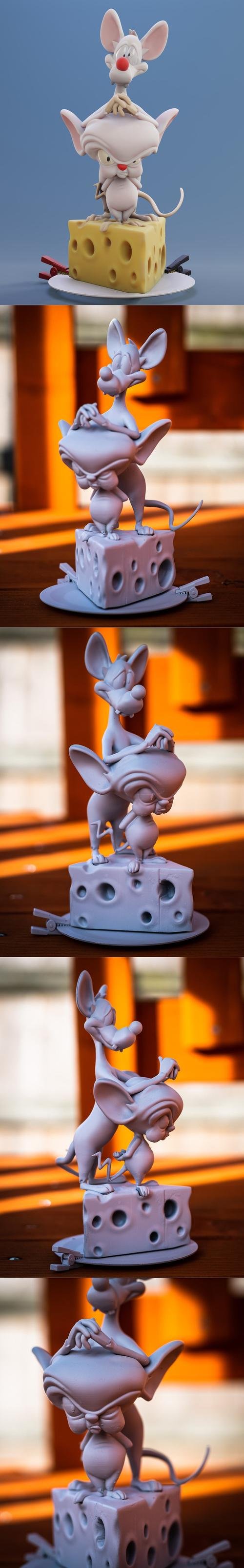 Pink e Cérebro no Queijo – 3D Print