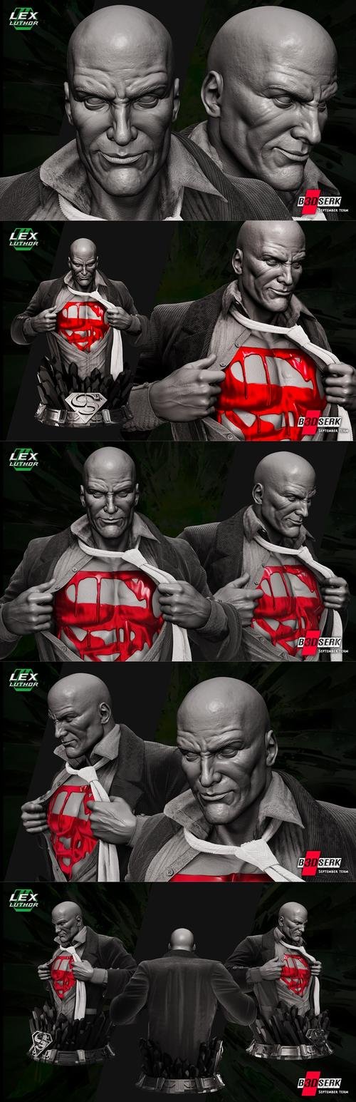 B3DSERK - Lex Luthor Bust – 3D Print