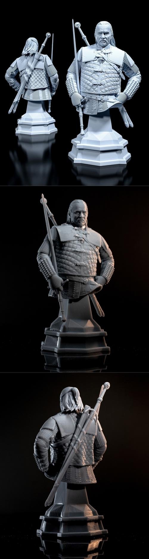 Vesemir Bust – 3D Print